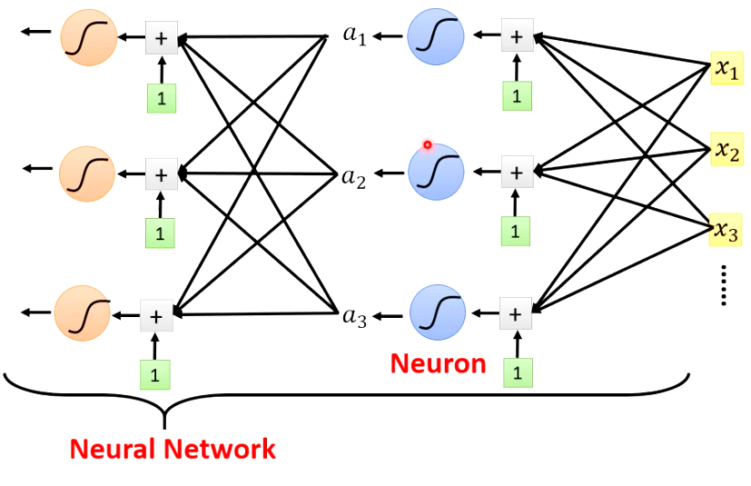 Neural Network